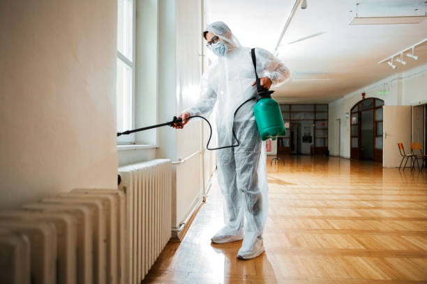 Reliable Lakewood, OH Pest control Solutions